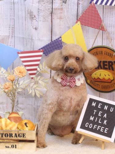 20240925ケンくん